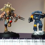 Wulfen Comparison